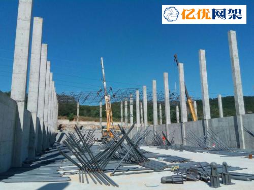 当阳料棚网架设计